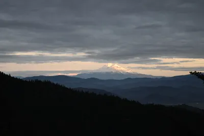 DSC_0140 (Large).JPG